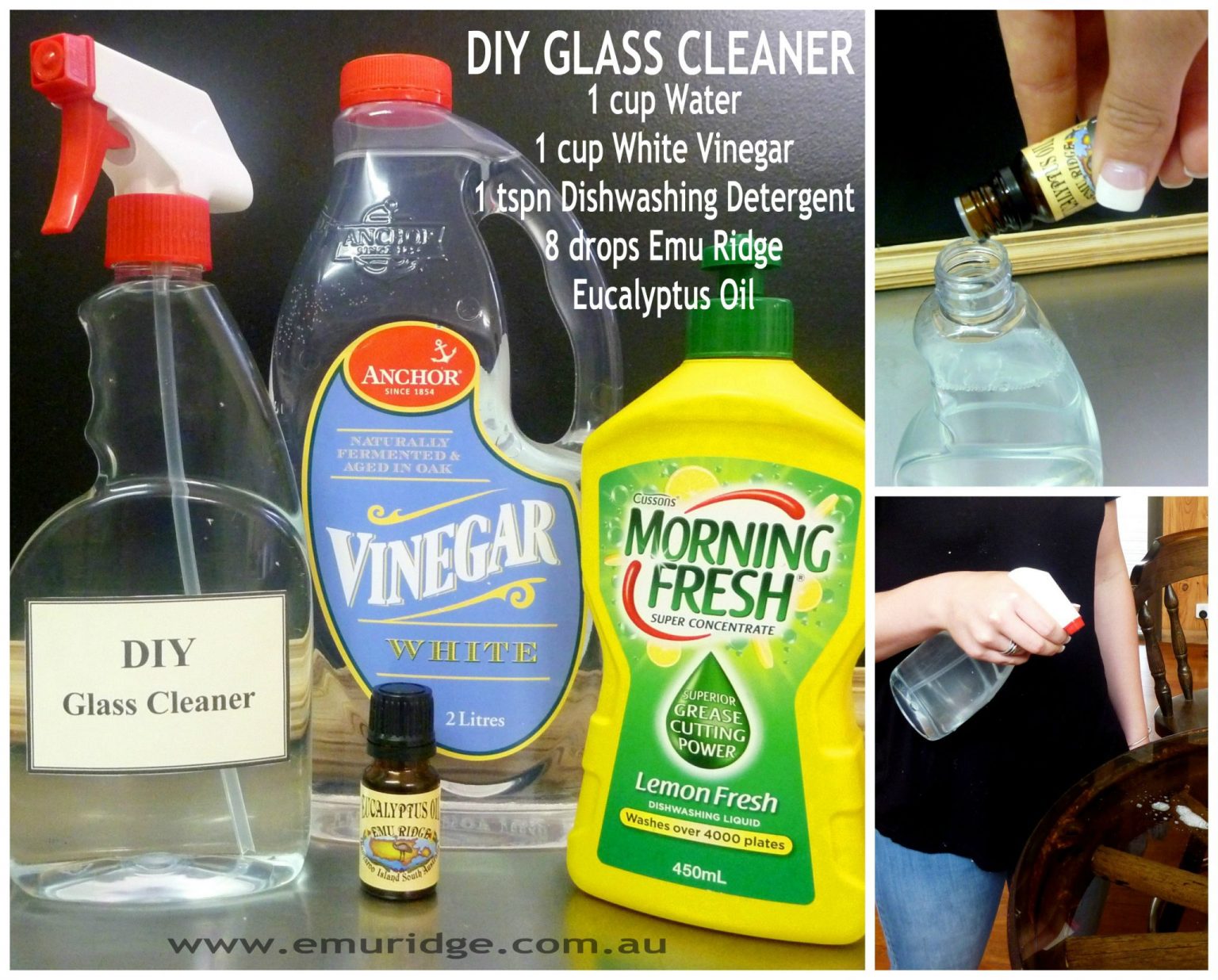 Homemade Glass Cleaner 