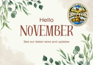November newsletter