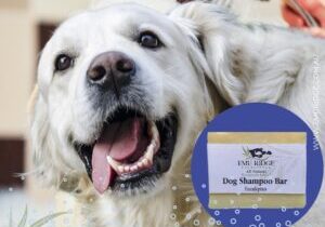 dog shampoo bar