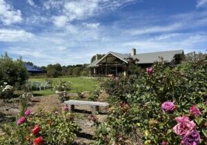 Lindy's garden Kangaroo Island Garden Club